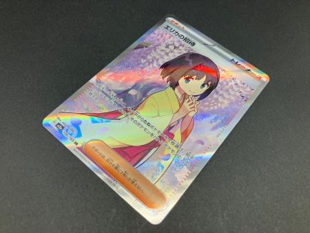 エリカの招待 196/165 SR ポケモンカード｜トレファクONLINE