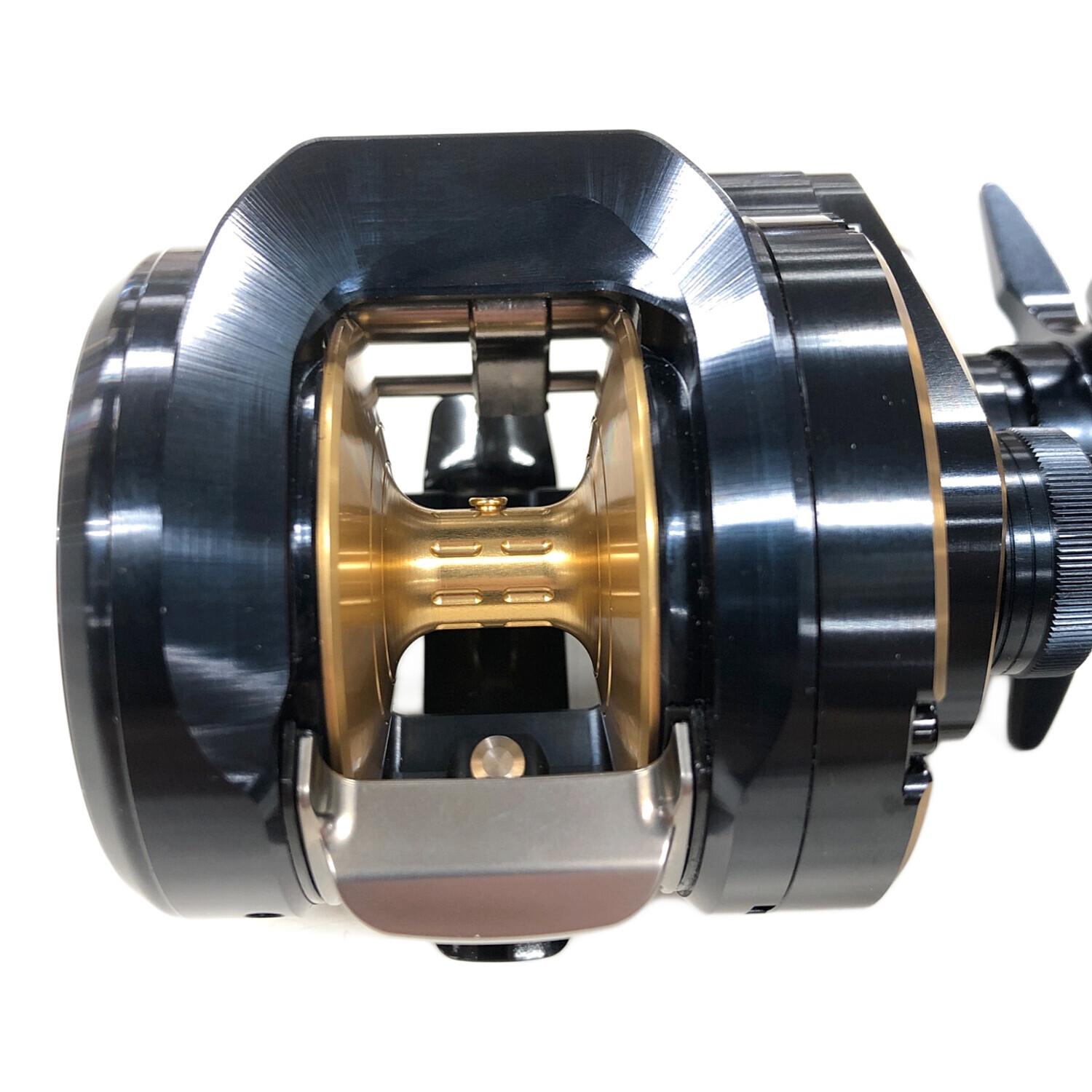 DAIWA (ダイワ) ベイトリール 25 SALTIGA 300H (ソルティガ) 右