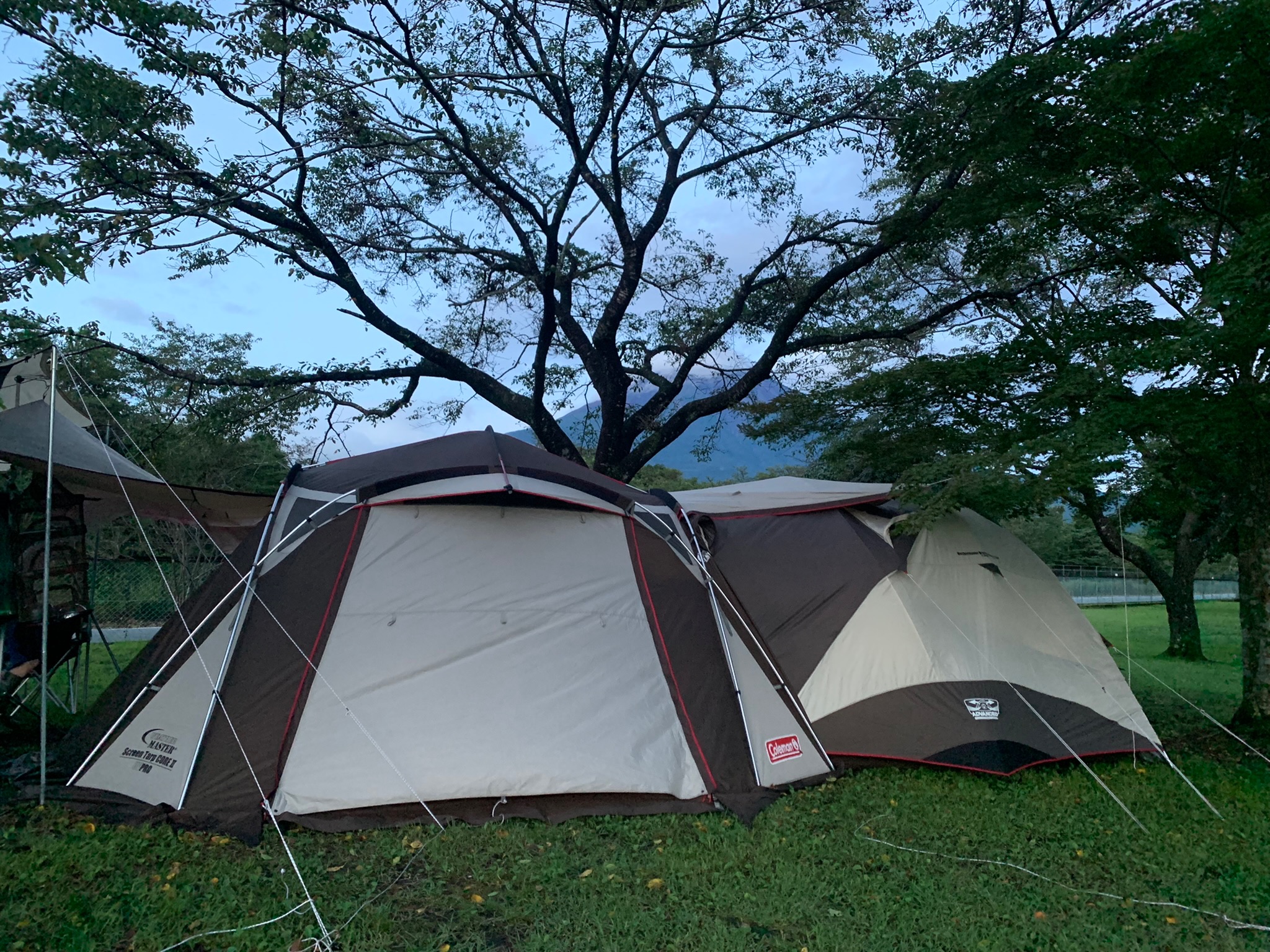 ウェザーマスターブリーズドームⅢ/300用フライシートの通販｜キャンプ