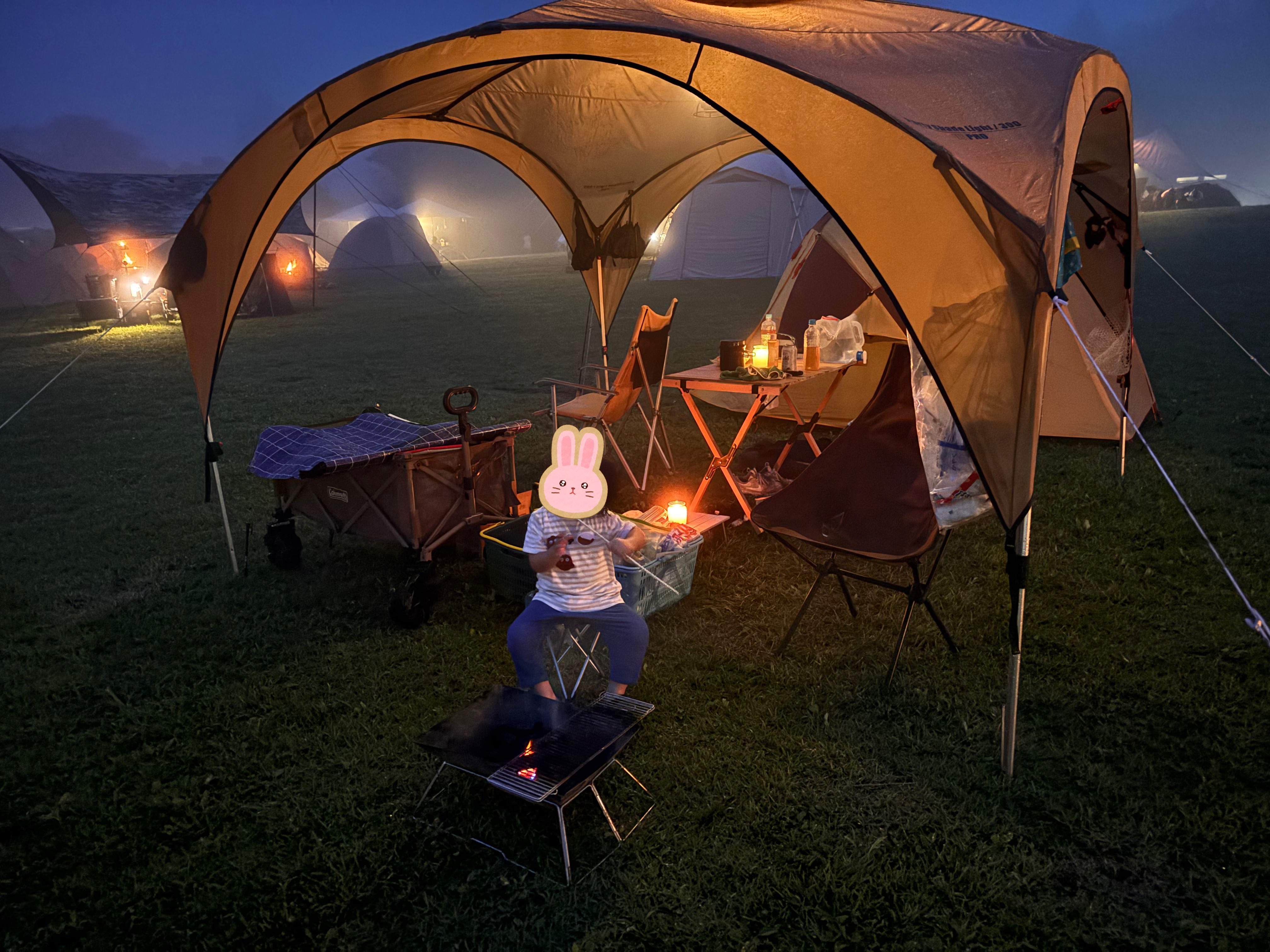 パーティーシェードライト/300の通販｜キャンプ用品のコールマン【公式