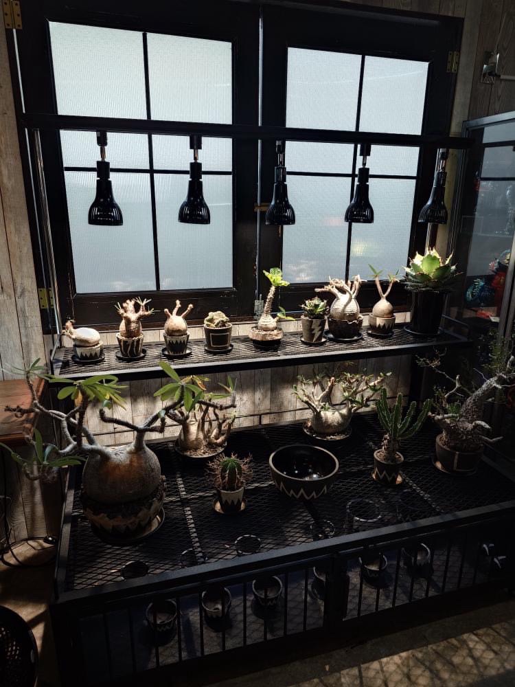 イノベックス LEDファン付き植物育成ライト | ファクトリーギア - 公式