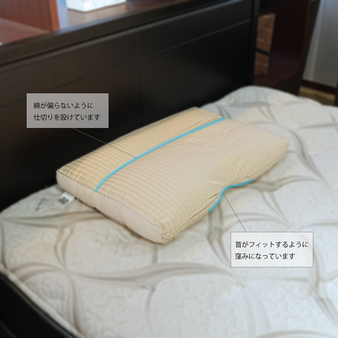 ソロテックスピロー60(W600mm×L420mm×H60mm): スリープセレクト