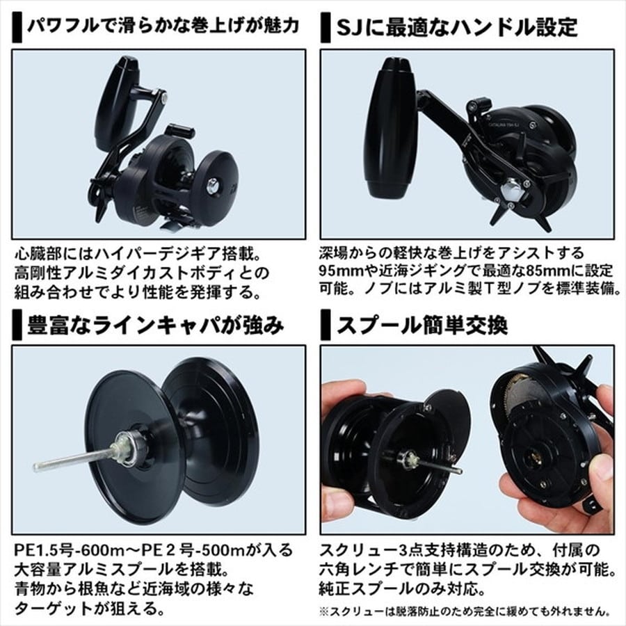 ダイワ ベイトリール キャタリナ 15H-SJ 2020年モデル (右巻): 釣具の
