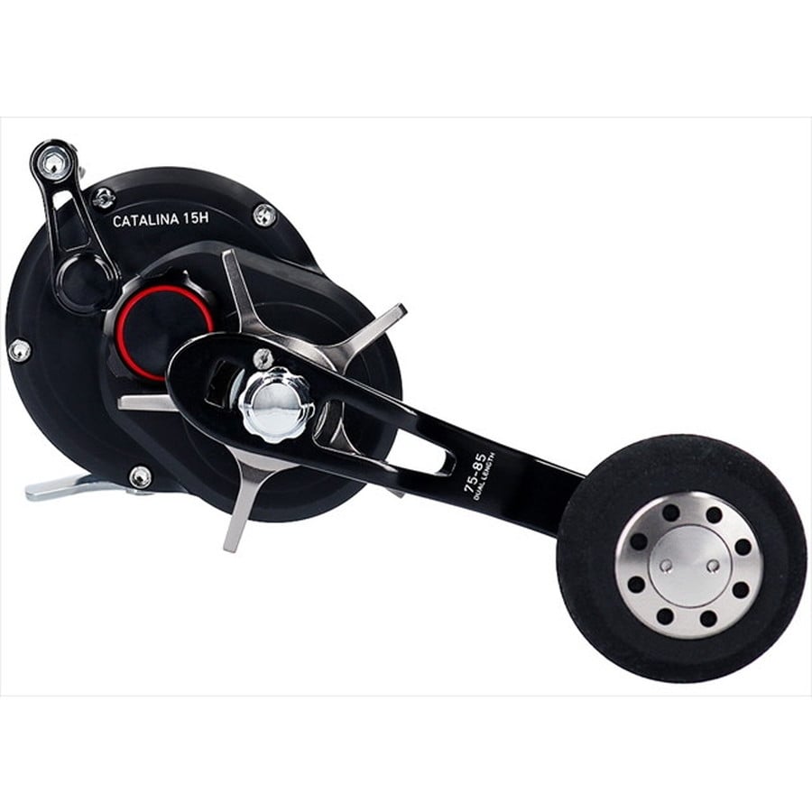 ダイワ ベイトリール キャタリナ 15H 2019年モデル (右巻): 釣具の