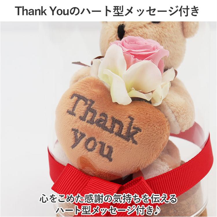 プリザーブドフラワー かわいい 通販 リトルベア フラワー