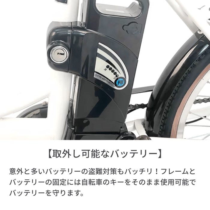 折りたたみ自転車 電動アシスト自転車 PELTECH(ペルテック) TDN-206L