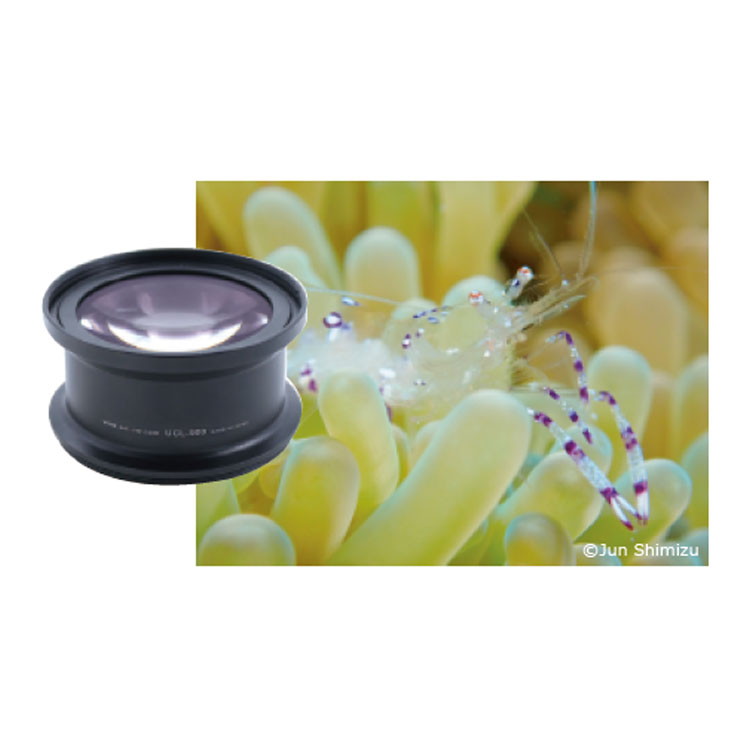 mic21ダイビングショップ[ AOI ] クローズアップレンズ＋15 UCL-900