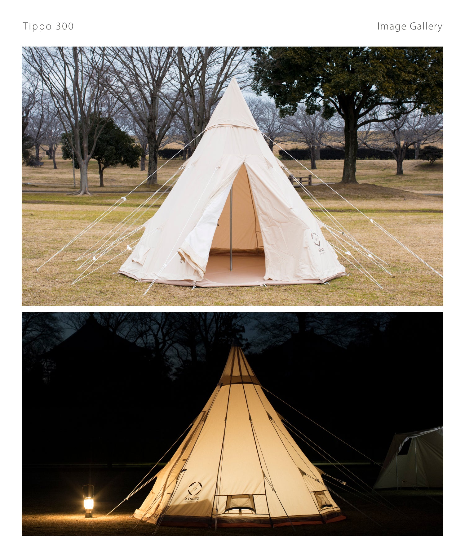 tippo300-11.jpg?v=1732519174&