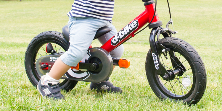 D-Bike ディーバイク マスター 12 | 株式会社オオトモ