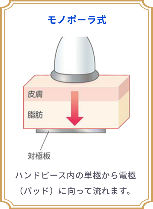 サロンに最適な業務用エステ痩身機器をご提案｜株式会社E-Surprise