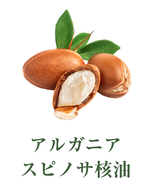 Koo プレミアム シュール | イーズストアエステサロン生まれのシンプル