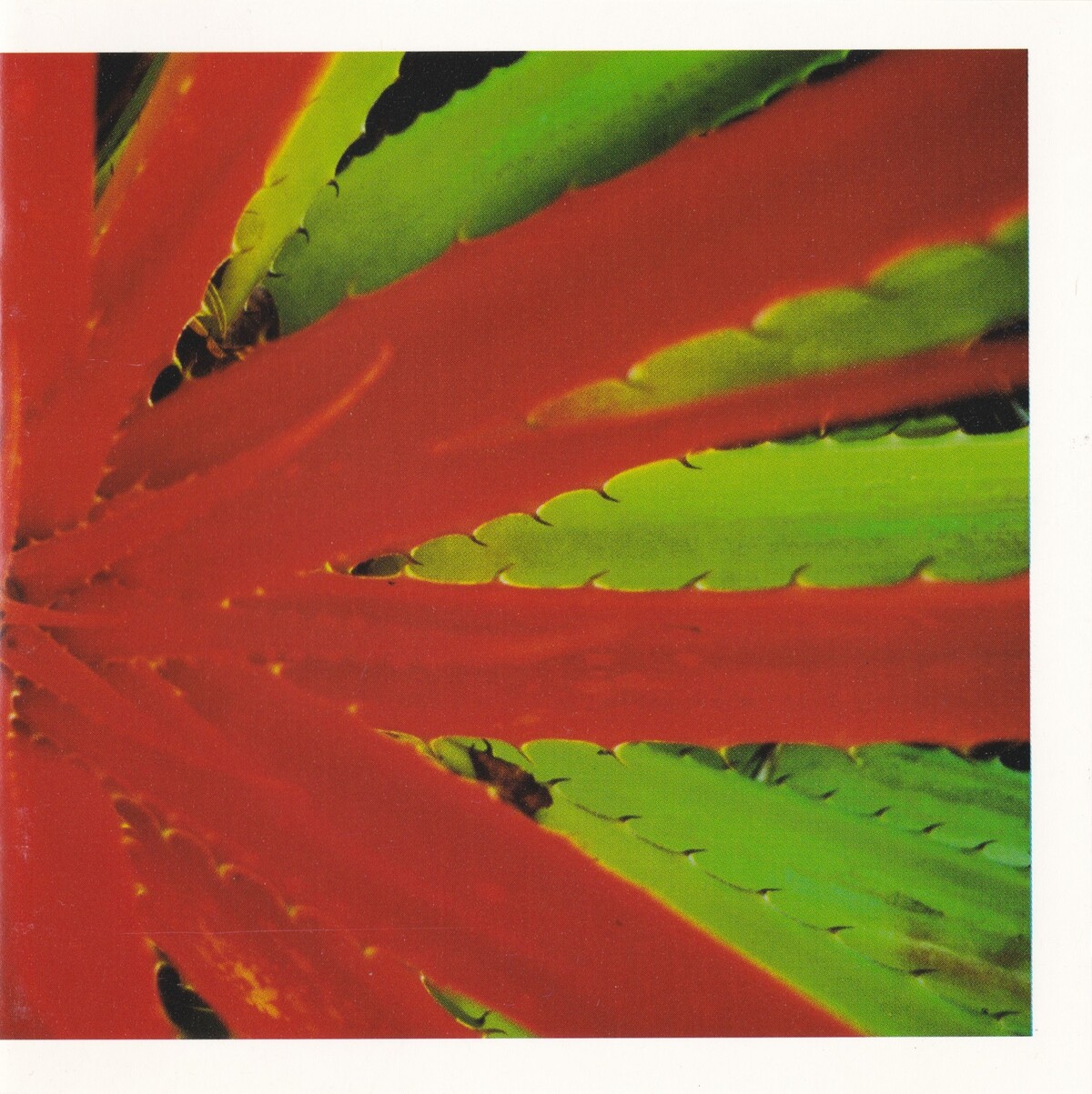 This Afternoon's Malady by Jejune (Album, Midwest Emo): Reviews