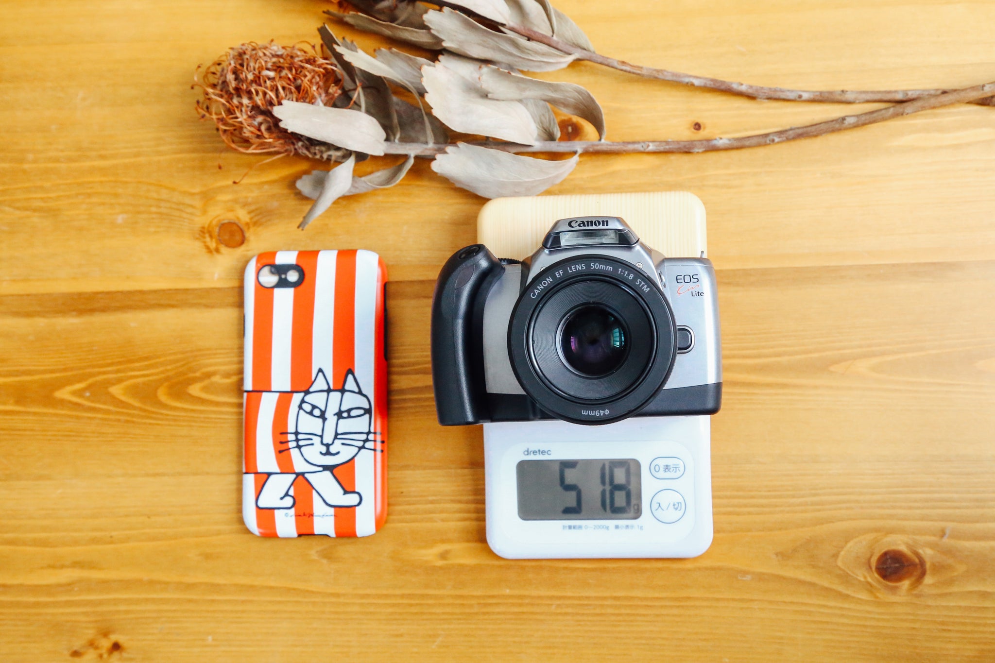 Canon EOS Kiss Lite【希少❗️】【完動品】 – Ein Camera