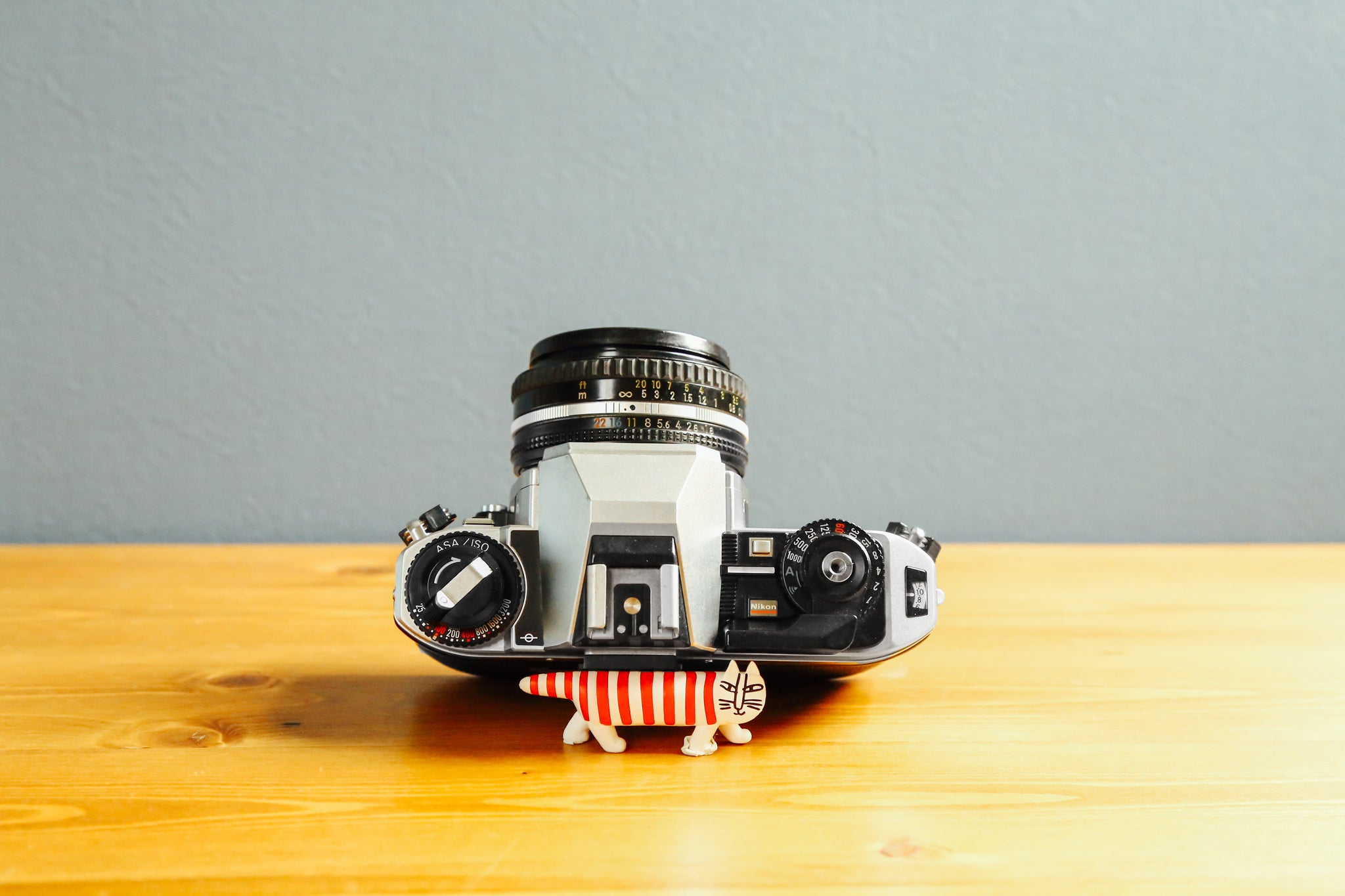 Nikon FG-20（SV)【完動品】 – Ein Camera