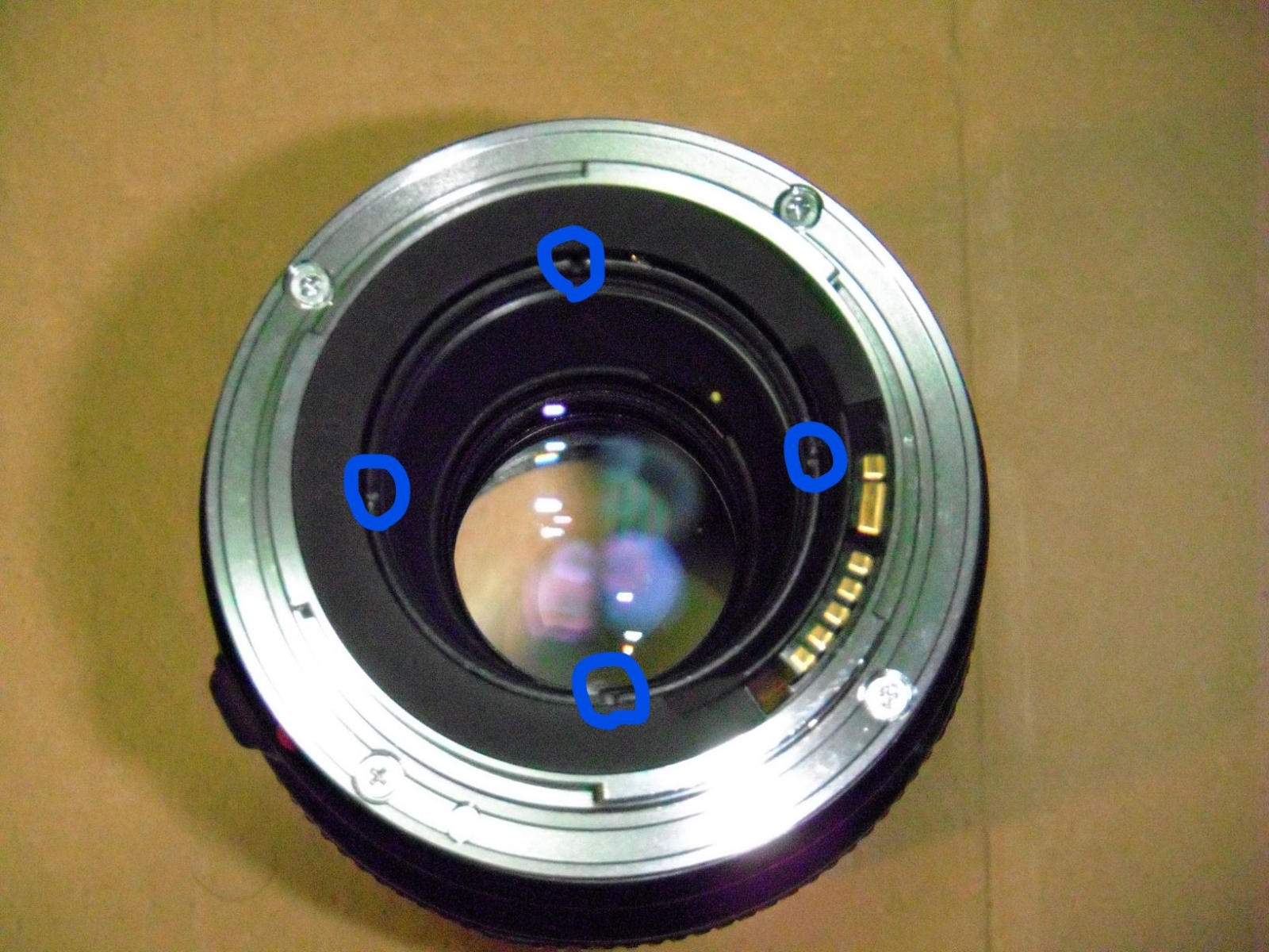 CANON MACRO LENS EF 100mm F2.8 ジャンクレンズ分解修理: ねこの空中散歩