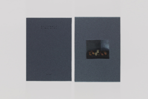 岸田劉生&横山奈美『窓からさす薄暗い光』カタログ発行 - News