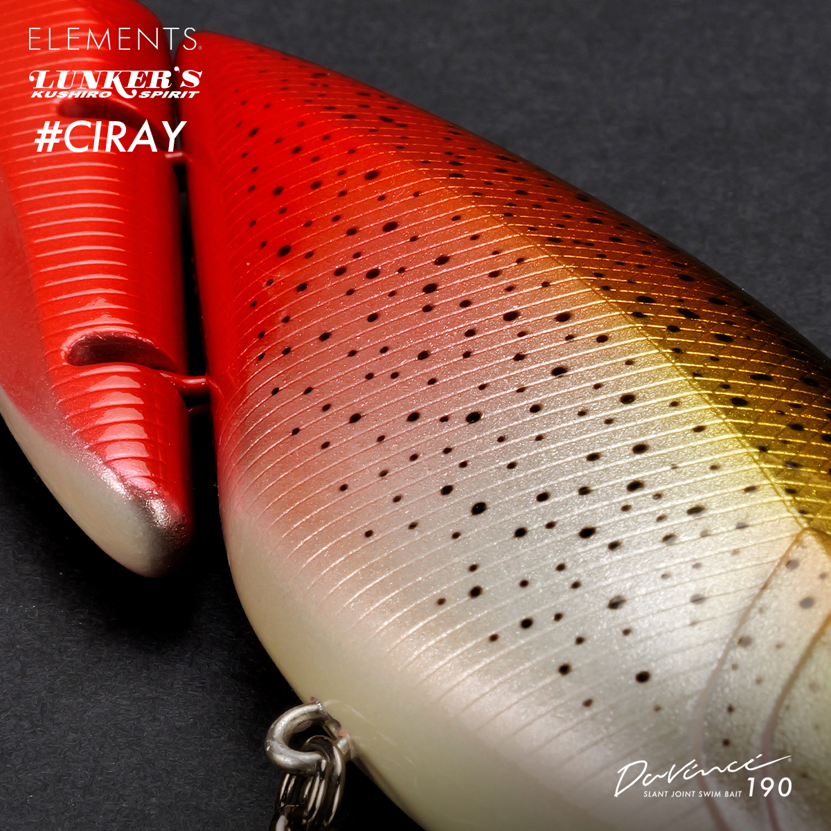 ダヴィンチ190 #CIRAY 受注生産モデルのご案内 – ELEMENTS®