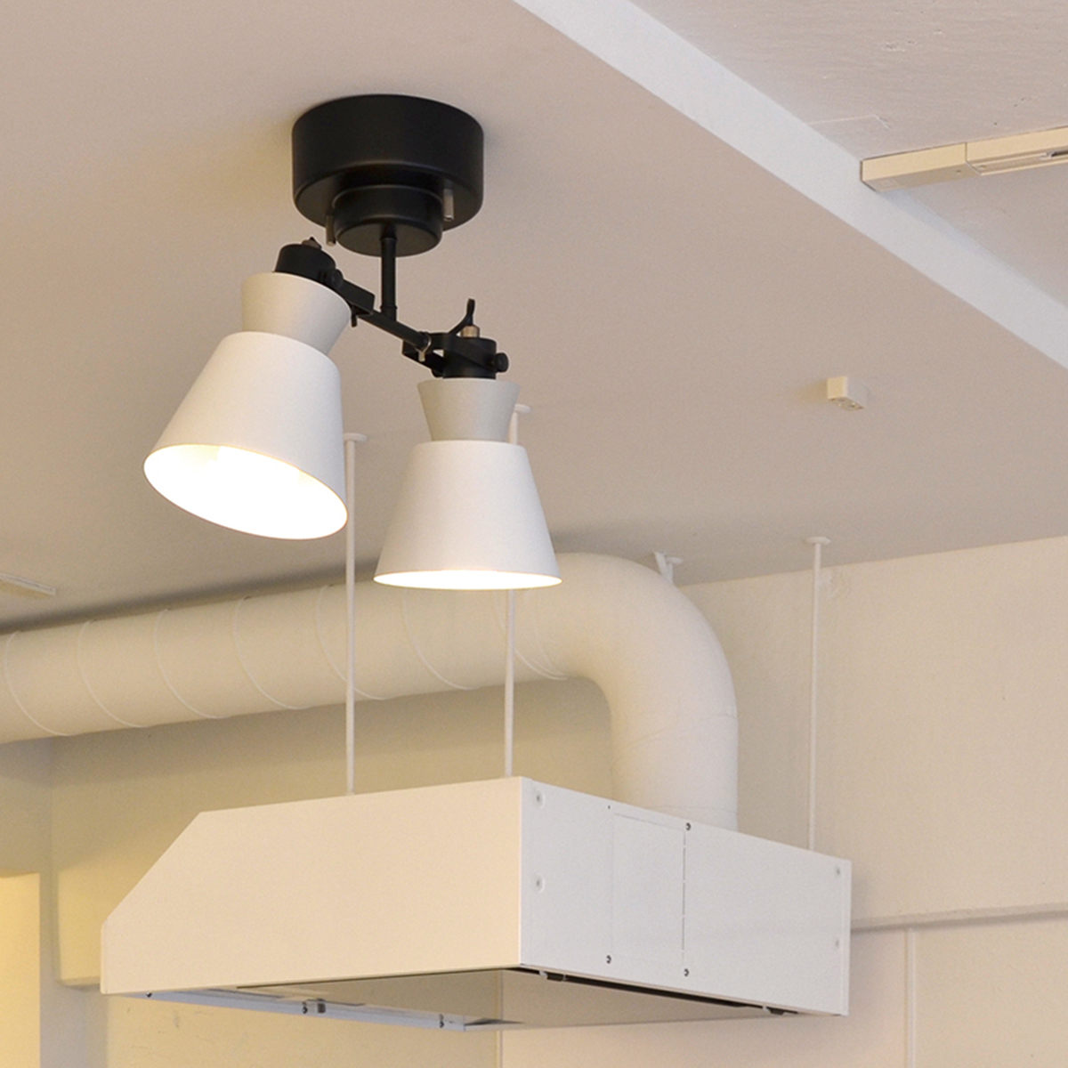 株式会社ELUX（エルックス）