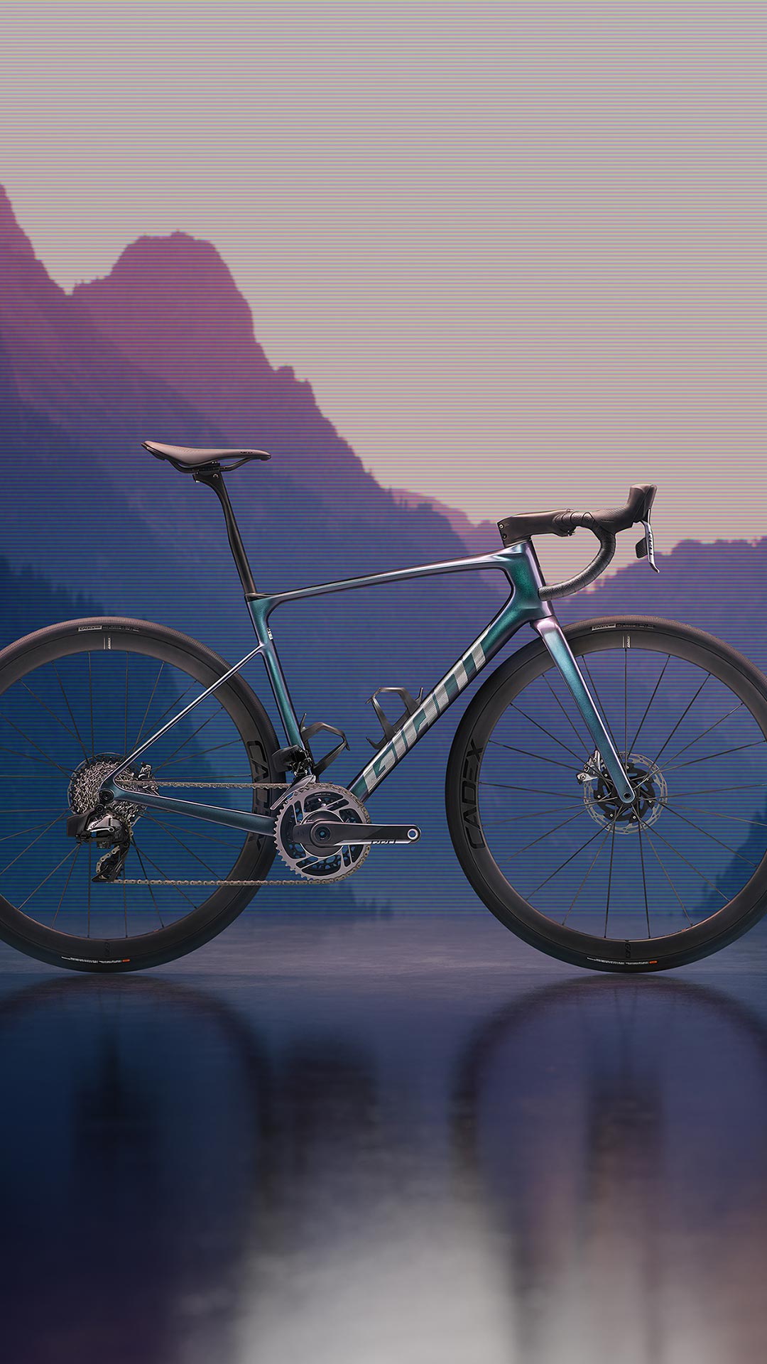 1dfffa6d114543c66f5c753d4ac95d