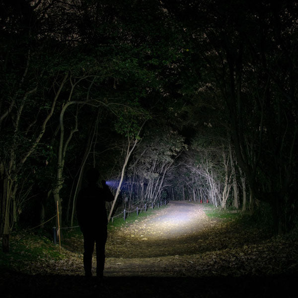 ジェントス LEDハンディライト Gシリーズ GF-214RG 1100ルーメン USB