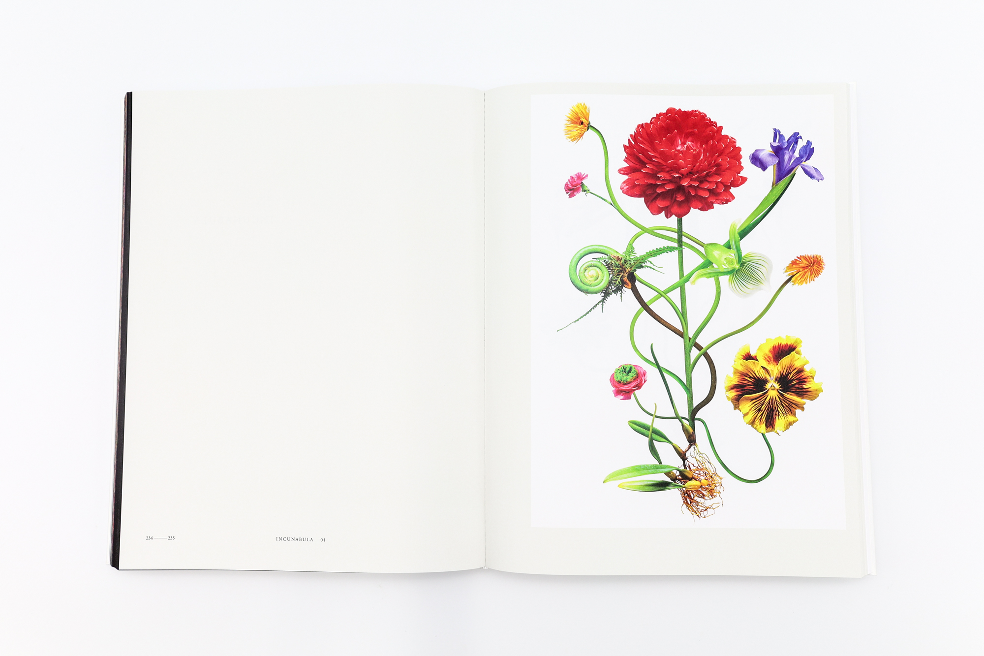 Encyclopedia of Flowers VI | 青幻舎 SEIGENSHA Art Publishing, Inc.
