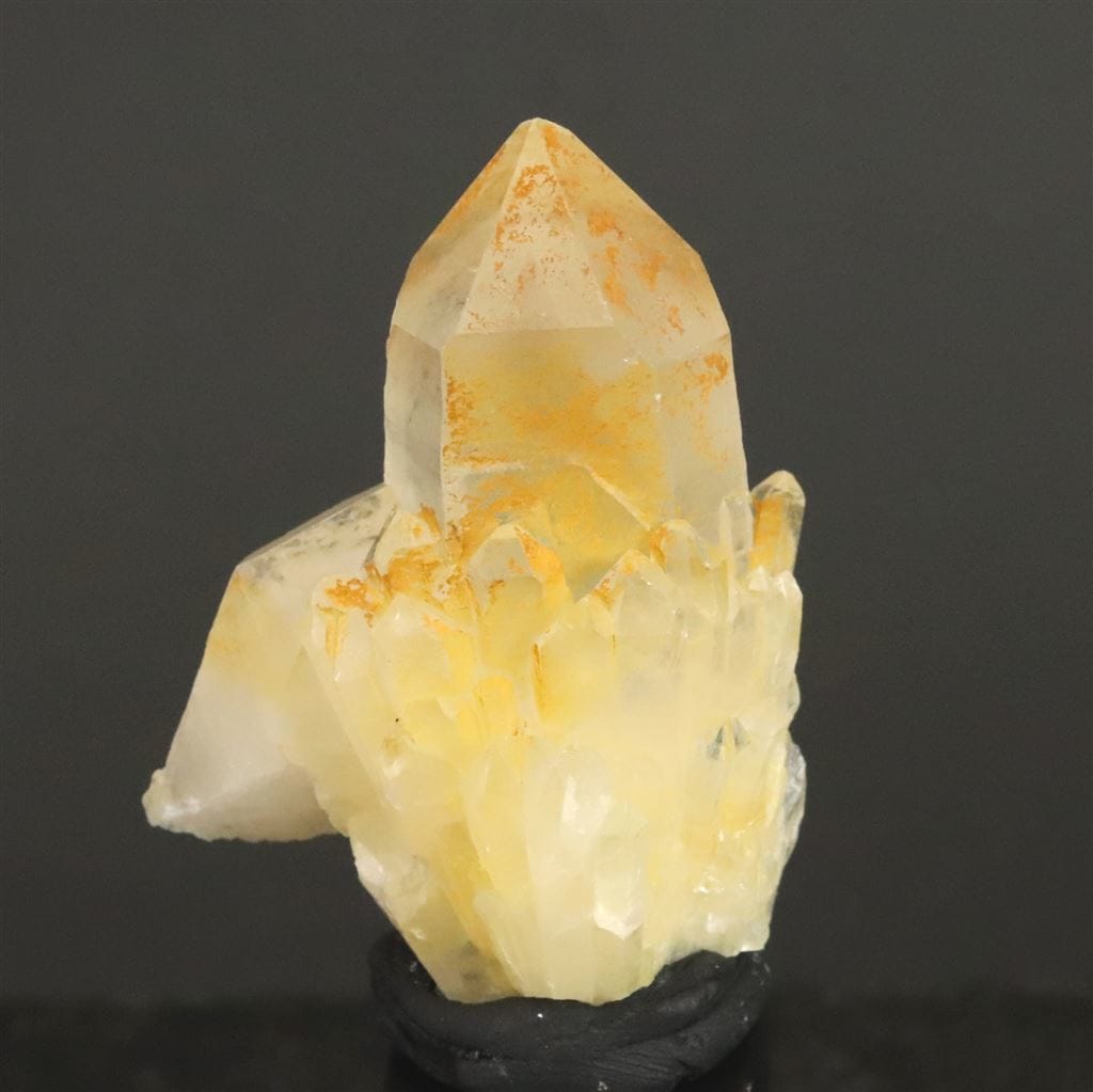 ゴールデンヒーラー | 榎本通商