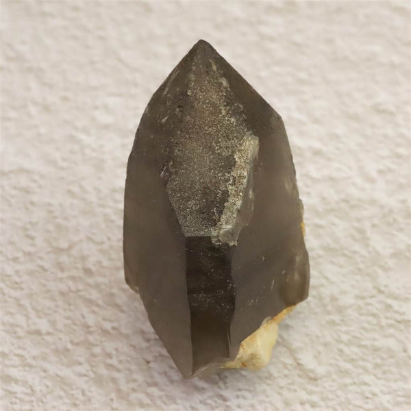 広島県廿日市市大野鉱山産 煙水晶 29.25g (ID:20740) | 榎本通商