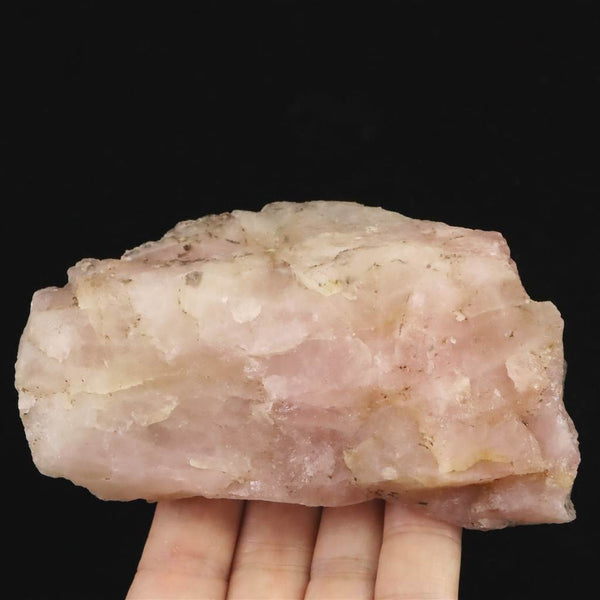 58811a_grande.jpg?v=1754919052