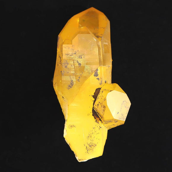 ゴールデンヒーラー | 榎本通商