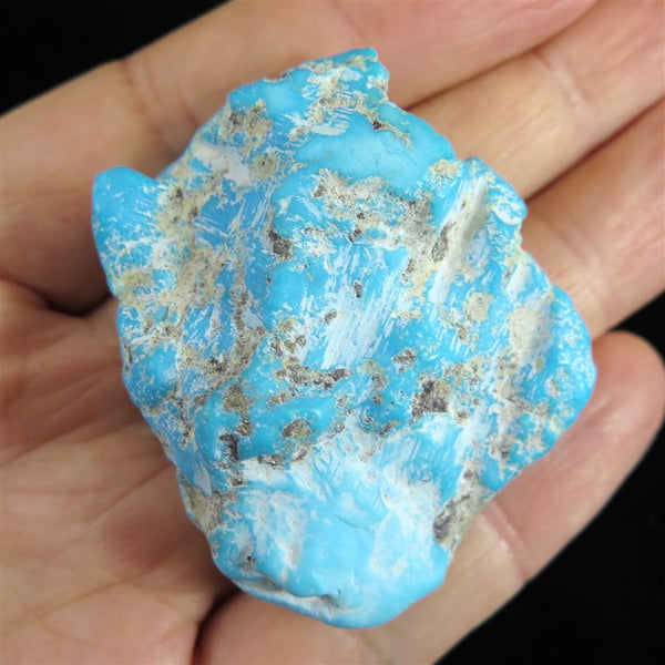 79779a_grande.jpg?v=1677845956