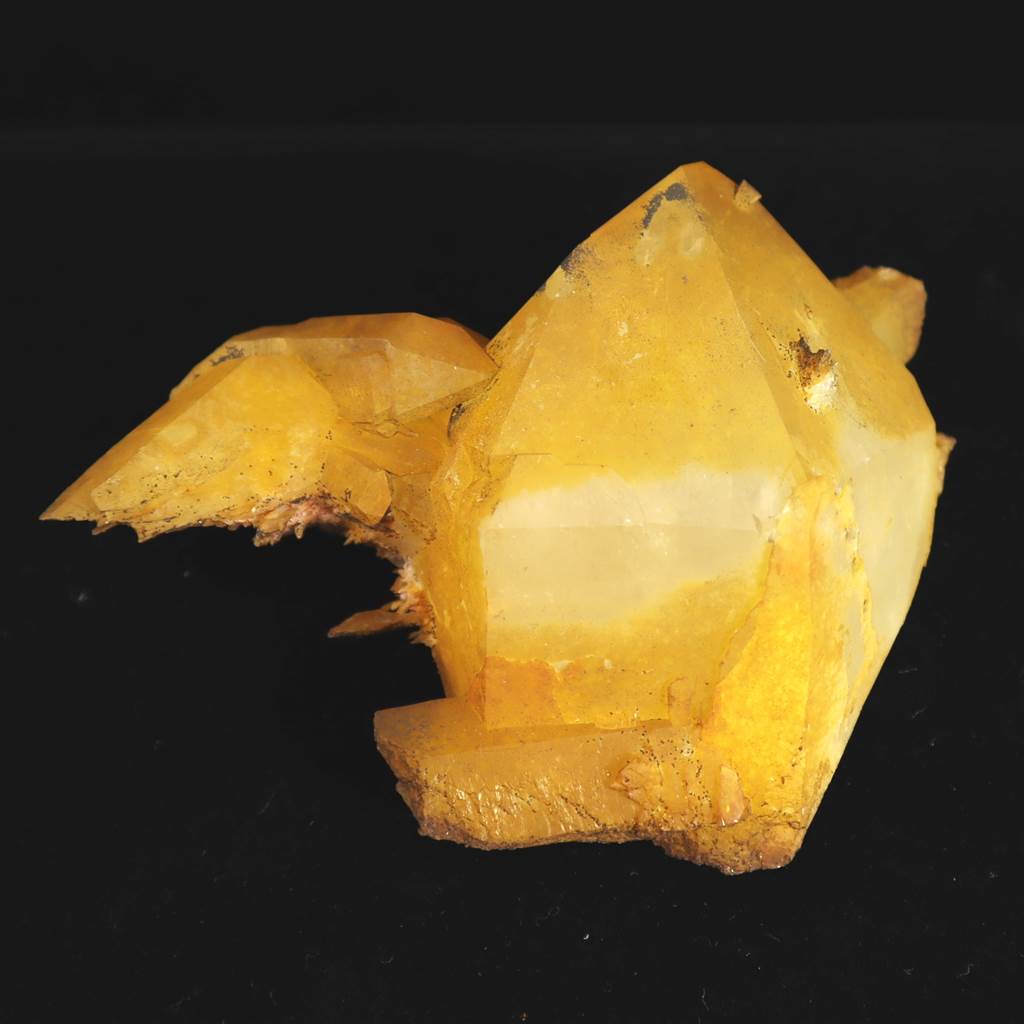 ゴールデンヒーラー | 榎本通商