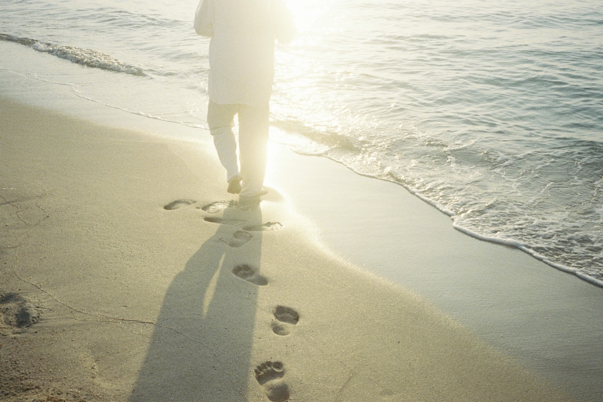 作例レビュー】Autoboy Luna 105 #わたしのカメラ vol.190｜キャノンの