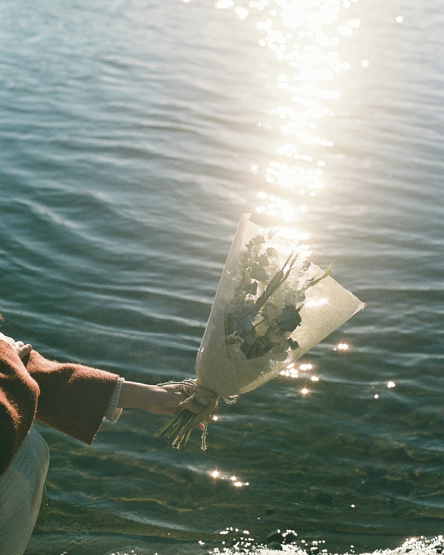 作例レビュー】CONTAX RX #わたしのカメラ vol.201｜コンタックスの