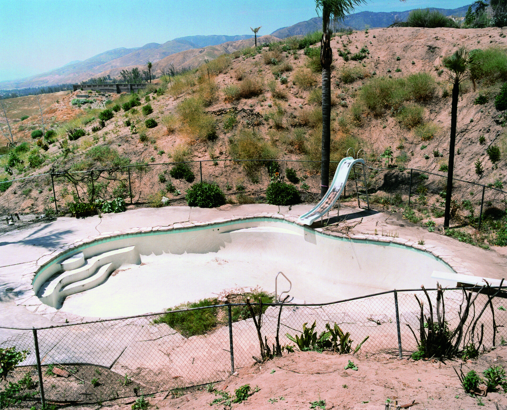 スケートカルチャーへの情熱から始まった、平野太呂の写真家人生 #写真
