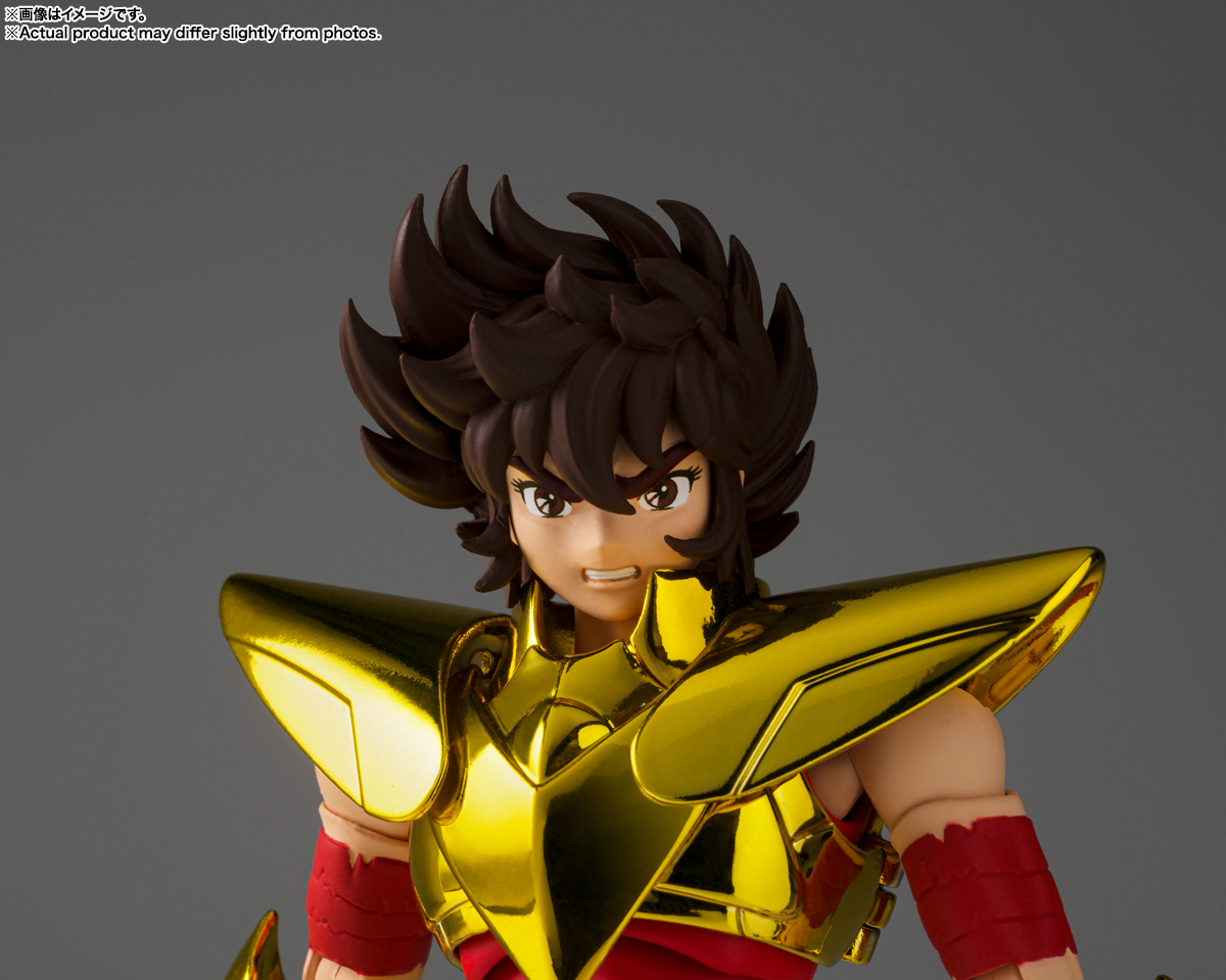 聖闘士聖衣神話EX ペガサス星矢(最終青銅聖衣) ～GOLDEN LIMITED