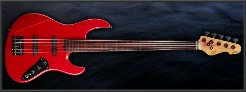 ESP | ARTIST CUSTOM GUITARS | 水野正敏