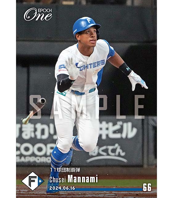 エポック社の公式オンラインショップです。プロ野球/2024年/北海道日本