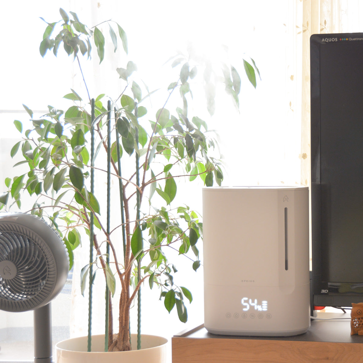 加熱超音波式加湿器 HM730｜6L大容量・5段階調節