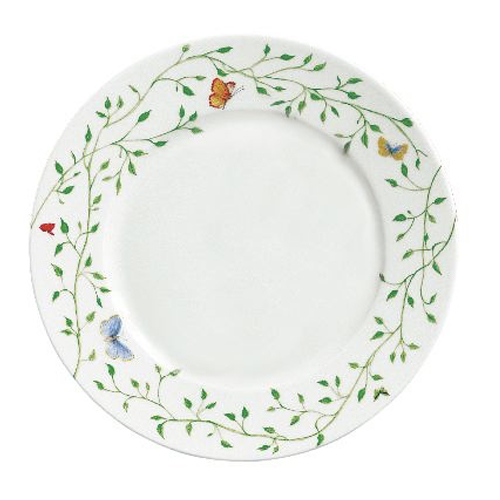 Raynaud ヒストリーナチュール 皿2枚セット 希少未使用箱付き