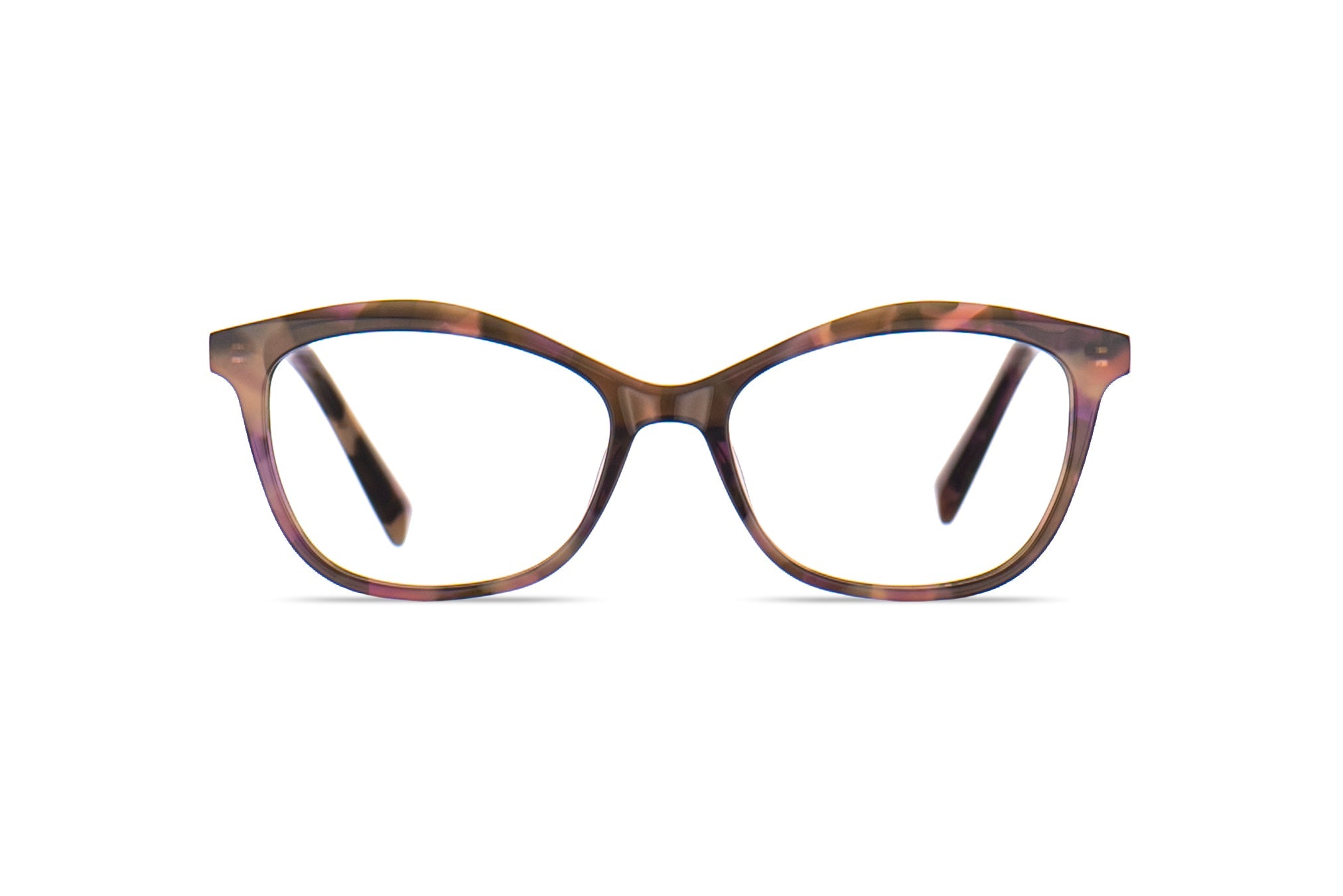 Wildcat – Erker's 1879