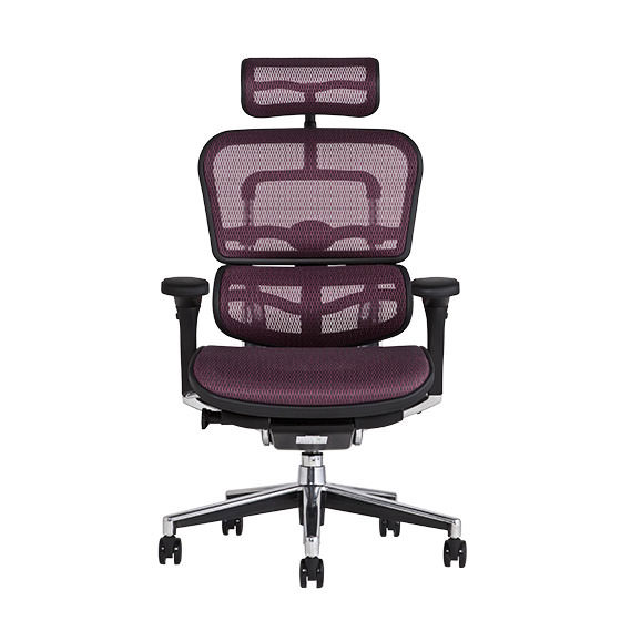 エルゴヒューマン ベーシック / ヘッドレスト有り【メーカー組み立て