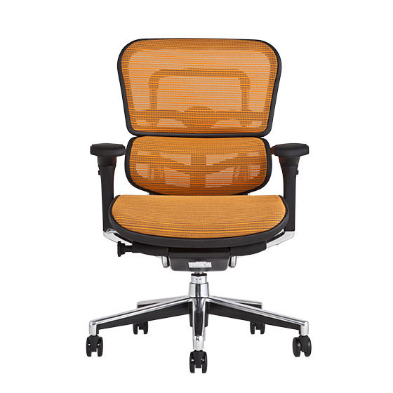 エルゴヒューマン ベーシック / ヘッドレスト無し【メーカー組み立て