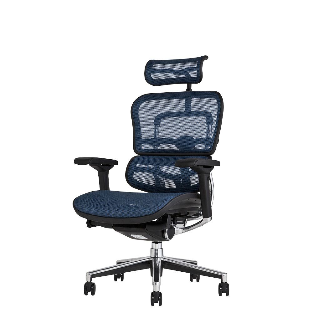 エルゴヒューマン ベーシック / ヘッドレスト有り【メーカー組み立て