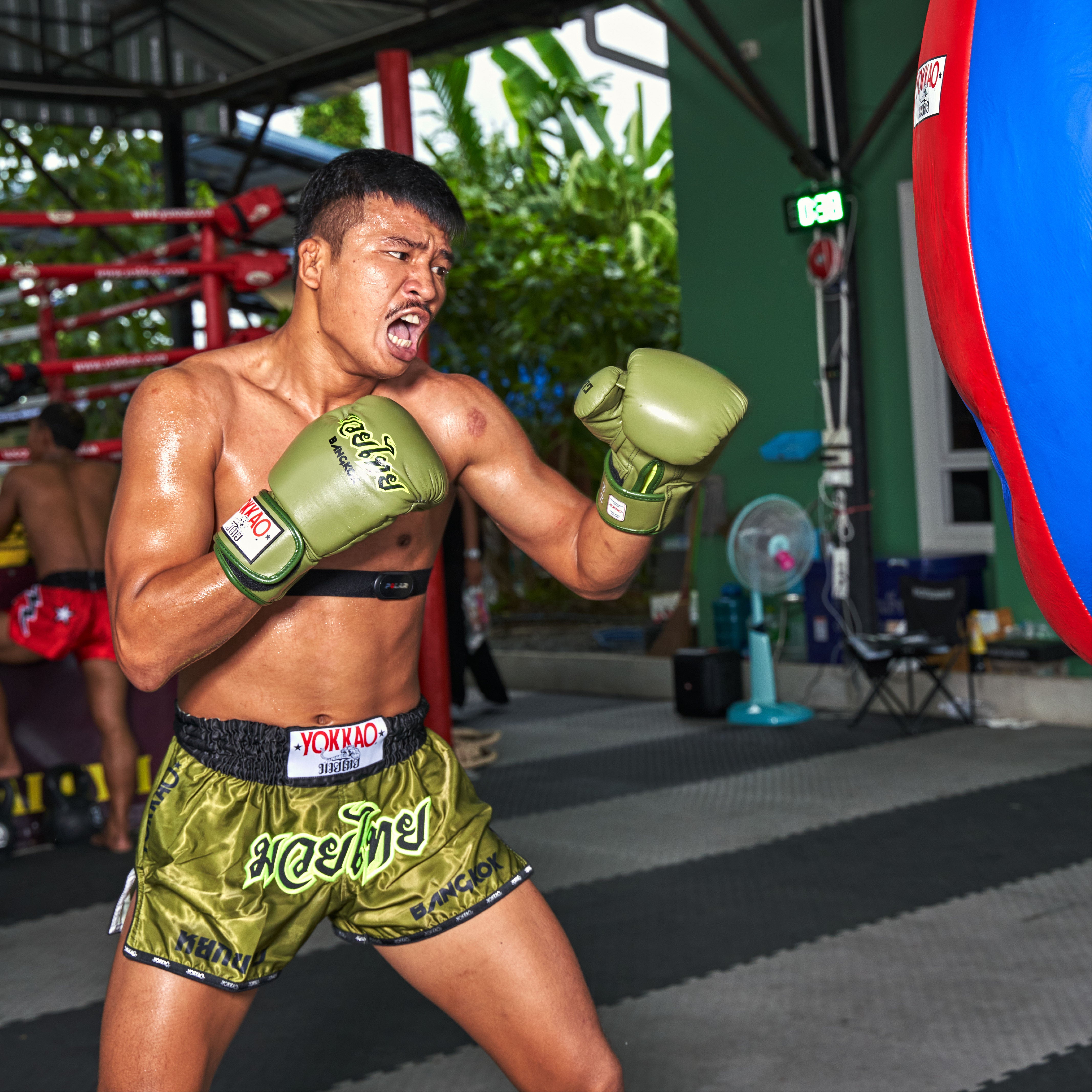 Late Show Muay Thai Shorts EU | YOKKAO EU