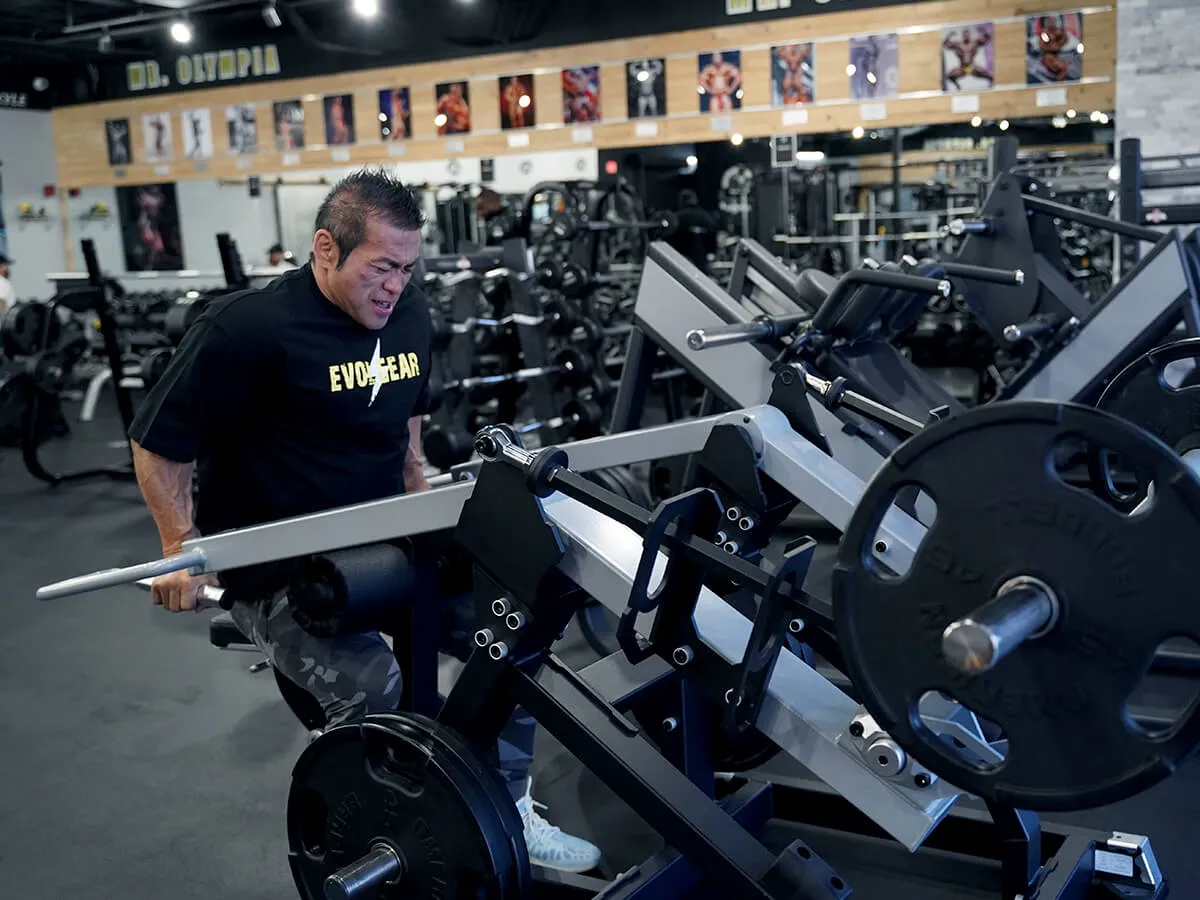 evp-z065 | EVOLGEAR（エヴォルギア）