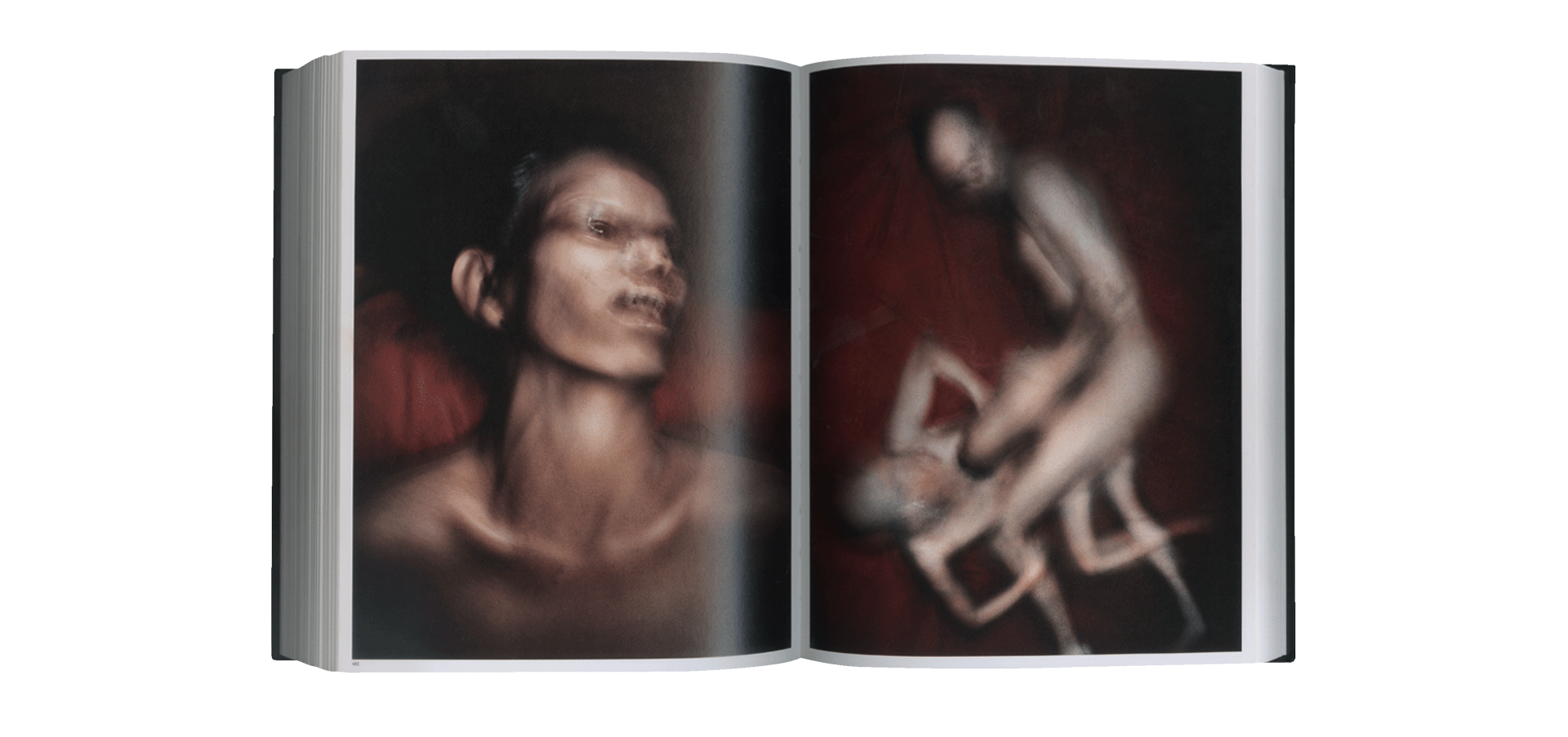 Anticorps - Atelier EXB