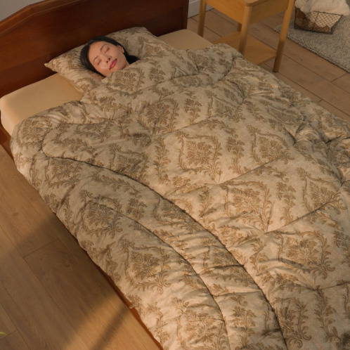 モリリン あったかふわもち♪ ほこりが出にくい カーボンホット 掛け