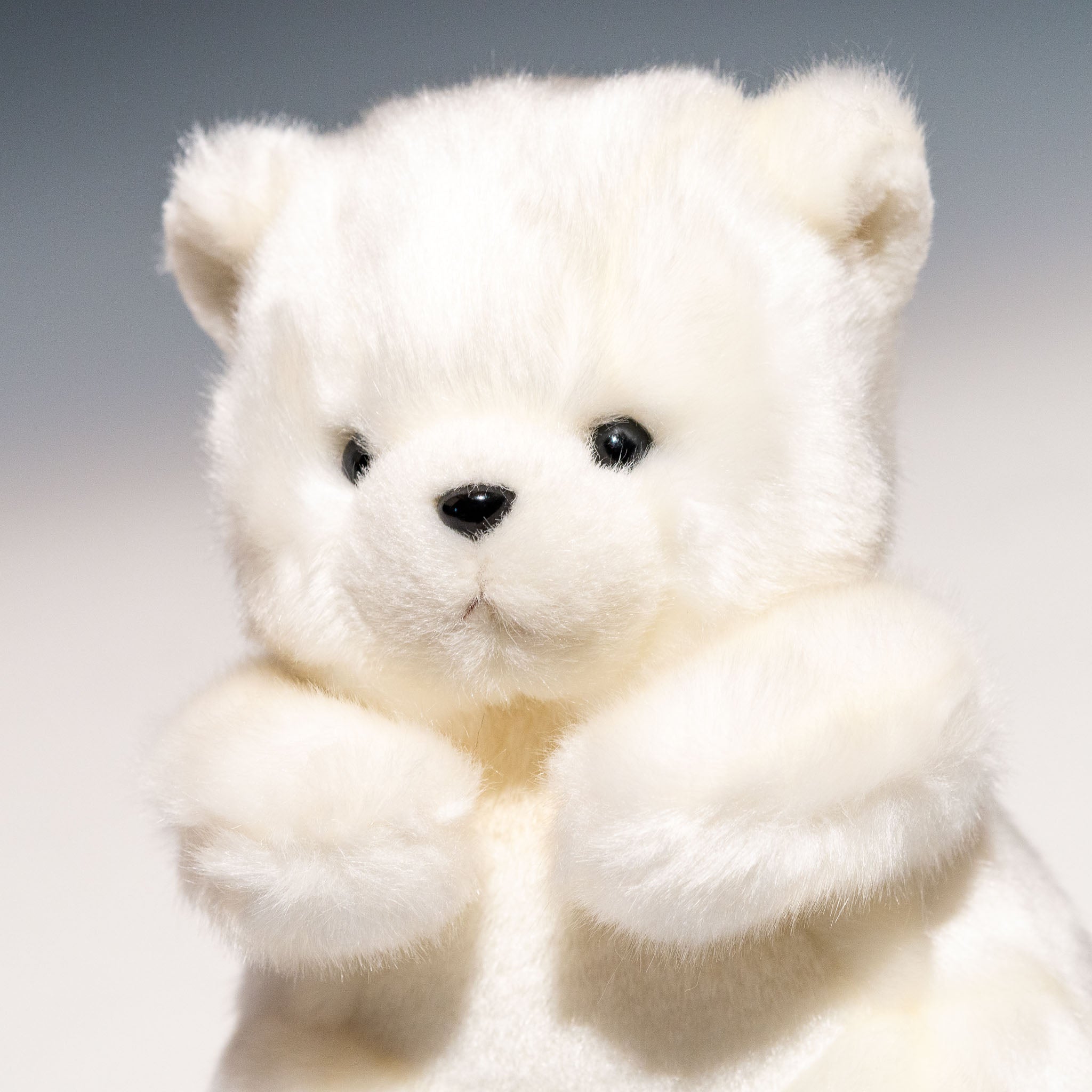 たけのこ TAKENOKO ぬいぐるみ 森のなかま (S) クマ 白 18793