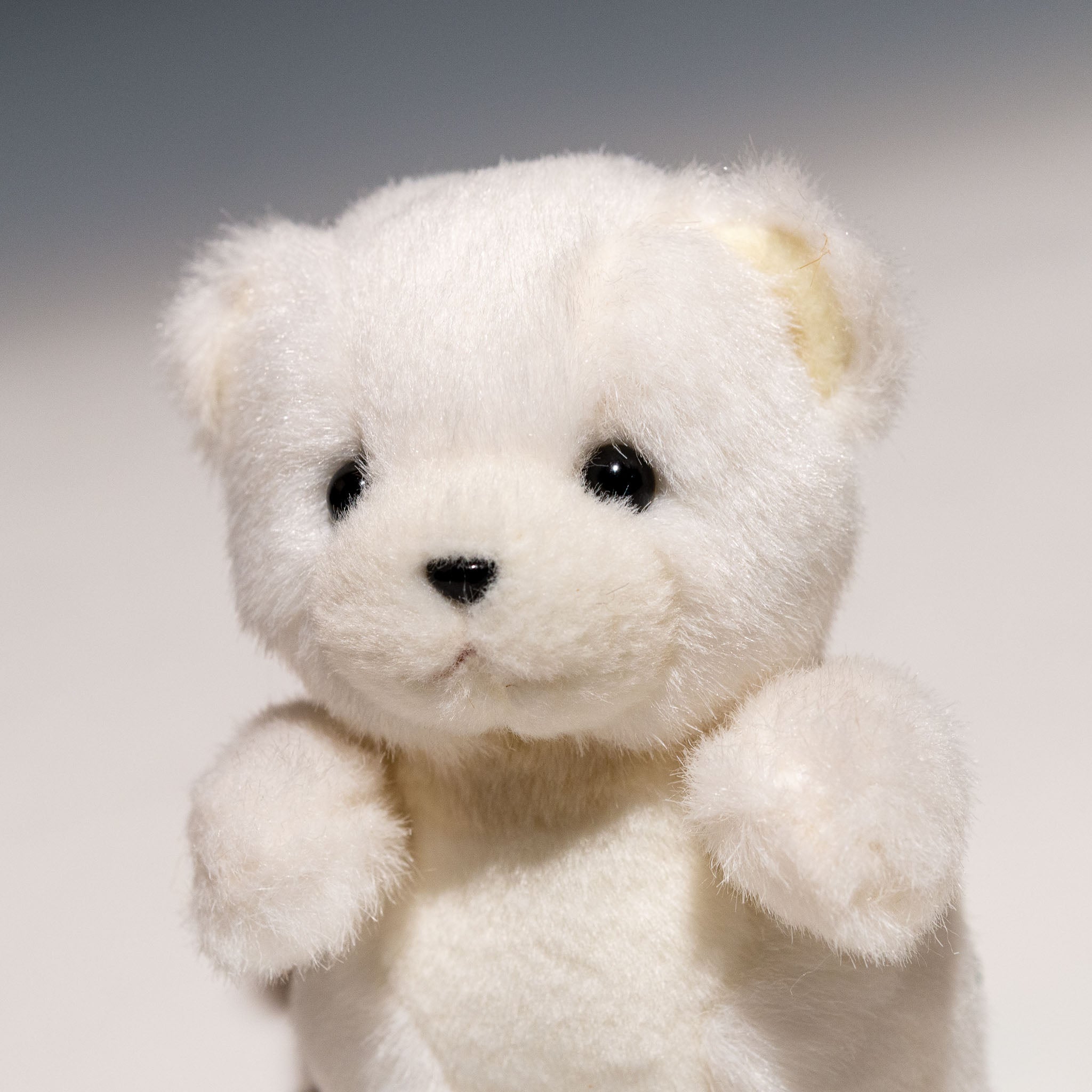 ミンハオ ECカフェトレカ くま ぬいぐるみ