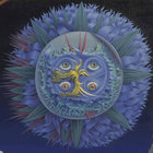 Listening Garden | TAYLOR DEUPREE + CHRISTOPHER WILLITS | LINE